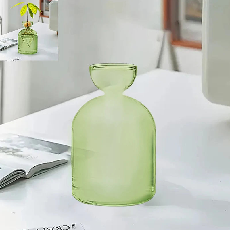 Colorful Transparent Avocado Hydroponic Vase Glass Avocado Seed Starter Vase Plant Seed Growing Kit Gardening Lovers Home Decor