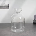 Colorful Transparent Avocado Hydroponic Vase Glass Avocado Seed Starter Vase Plant Seed Growing Kit Gardening Lovers Home Decor