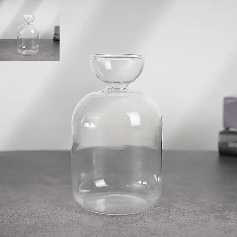 Colorful Transparent Avocado Hydroponic Vase Glass Avocado Seed Starter Vase Plant Seed Growing Kit Gardening Lovers Home Decor