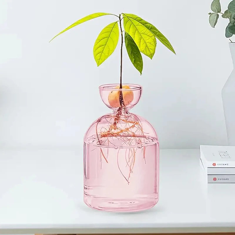 Colorful Transparent Avocado Hydroponic Vase Glass Avocado Seed Starter Vase Plant Seed Growing Kit Gardening Lovers Home Decor
